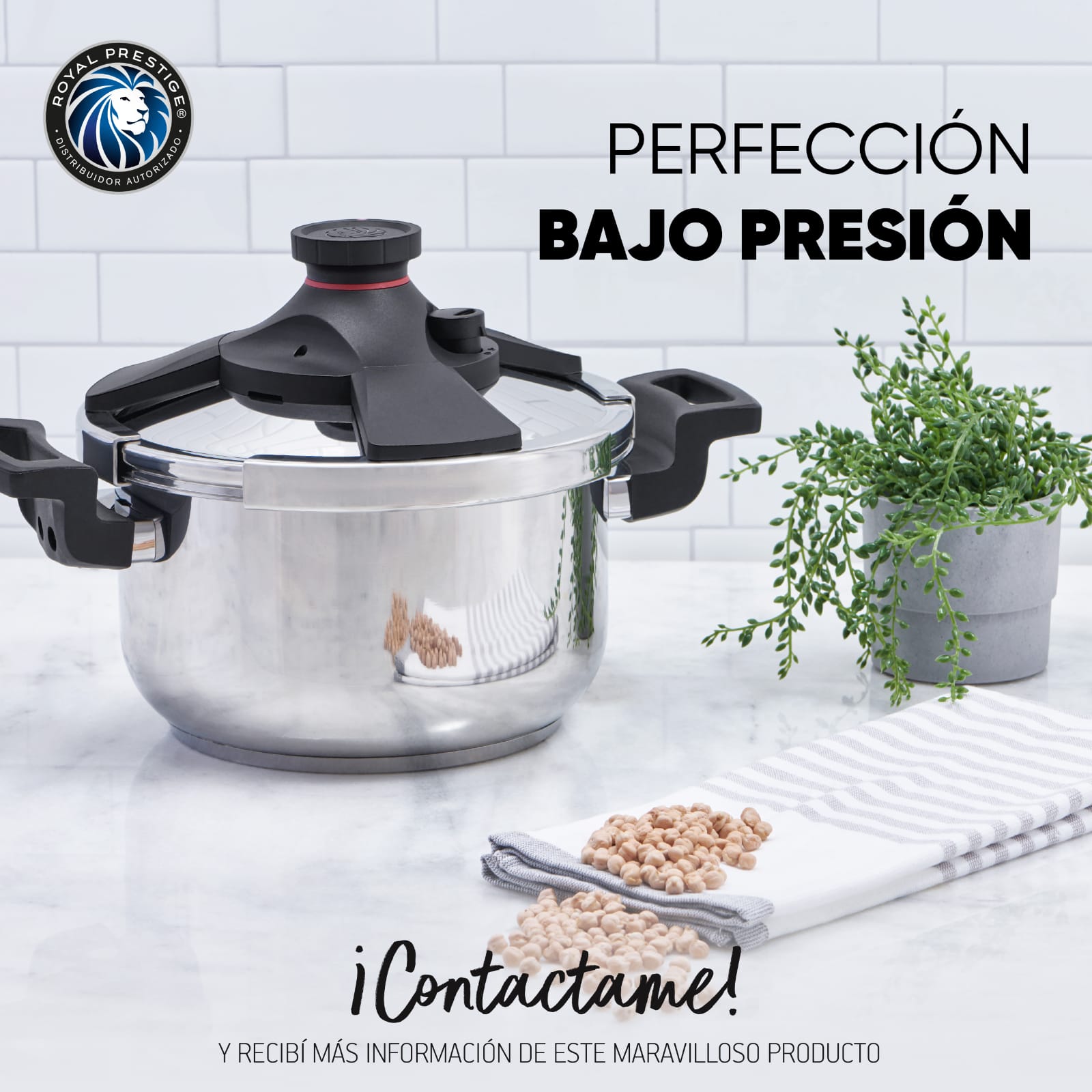 Olla presión 6-10 lts